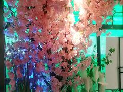 -野妹火锅(龙岗店)