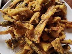 -鲤鱼塘农家山庄