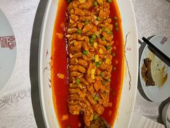 松鼠鱼-乾园(天河城店)