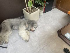 -沏点Trattoria意大利餐厅(新街口店)