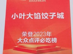 -小叶大馅饺子城