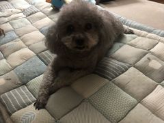 -回龙观体育文化公园