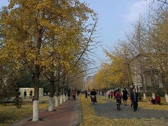 android_upload_pic-辽宁大学(崇山校区)