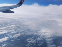 -中免(澳门机场免税店)