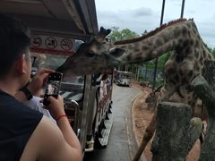 -清迈夜间动物园