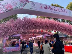 -南汇桃花村