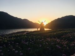 -广州市石门国家森林公园