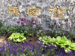 -马家湾湿地公园