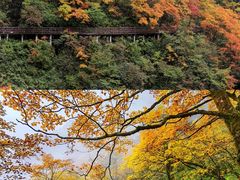 -瓦屋山景区