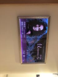 -天津伊美尔医疗整形美容专科医院