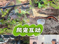 -北京植物园-展览温室