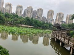 -龙头寺公园