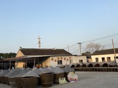 -苏州市吴中区光福窑上花果蜜饯厂