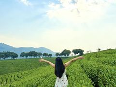 -帐篷客·溪龙茶谷度假酒店