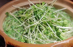 Fresh Chicken Soup with Radish Sprouts