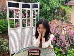 -秀丽东方