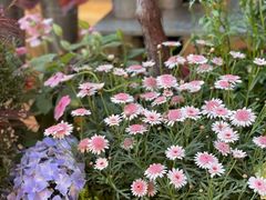 -二酉书店TOYOU BOOKS