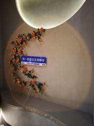 -Hi Beauty Skin 科技美肤中心