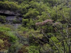 -尧山风景区