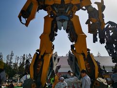 -上海长兴岛郊野公园