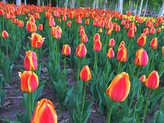 -长春公园(普阳街道)