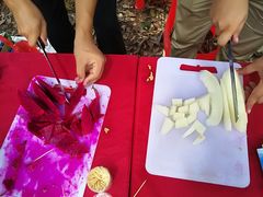 -南宁良凤江国家森林公园