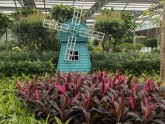 -南宫五洲植物乐园