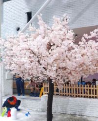 -Mr·Kuma酷么先生雪之乐园