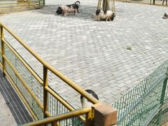 -无锡动物园·太湖欢乐园