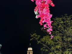 -赤坎古镇影视城