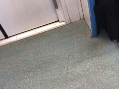 -陆家浜路(地铁站)
