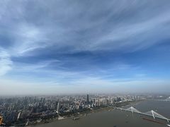 -武汉绿地中心