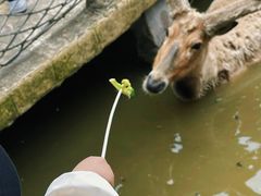 -宁波杭州湾国家湿地公园