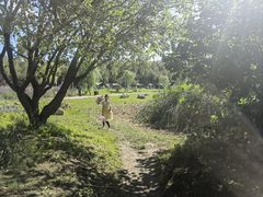 -长春市南湖公园