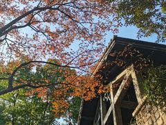 -得丘礼享谷·玉兰苑