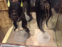 -信不信由你博物馆