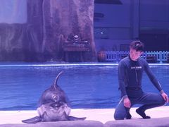 -华夏文旅西安度假区