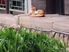 -承德避暑山庄景区