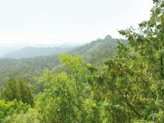 -磬锤峰森林公园