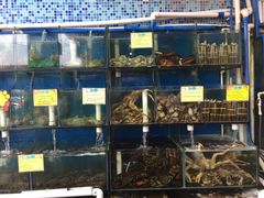 -蚝专家(北滘店)