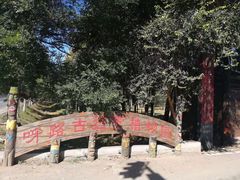 -呀路古热带植物园