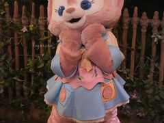 -华莱士·全鸡汉堡(光华路店)