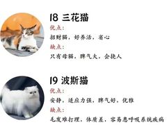 -瑞鹏宠物医院犬猫全科(真大分院)