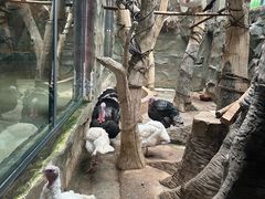 -洛阳龙门海洋馆
