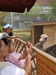 -萌宠亲子动物乐园(槐房万达店)