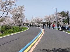 -羊山湖公园