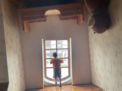 -金山农民画村-枫泾波兰倒置屋