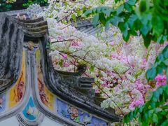 -深圳国际园林花卉博览园