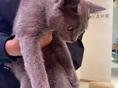 -藏猫猫咖啡主题馆(中央大道店)