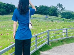 -大塘金香草谷